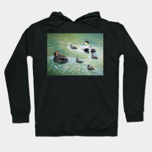 Eiders in family Hoodie